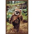 Star Wars: Return of the Jedi - Wicket W. Warrick Wall Poster 14.725 x 22.375 Framed