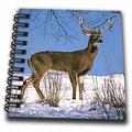 White Tailed Deer Mini Notepad 4 x 4 inch db-721-3