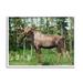 Stupell Moose Forest Grove Woodland Landscape Animals & Insects Photography White Framed Art Print Wall Art