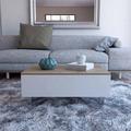 Wade Logan® Lift Top Coffee Table w/ Storage Wood in White | 11.6 H x 31.5 W x 21.4 D in | Wayfair 8914FAF5D4904ED1BE334BC38C65DACD