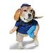 Bootique Cute Carrier Dog Cat Costume Medium Pet Halloween Outfit Mailman Postal Worker Delivery Package