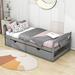 Red Barrel Studio® Yolanthe Twin Size Platform Bed w/ 2 Drawers Wood in Gray | 23 H x 40 W x 77 D in | Wayfair D44799A7571F4D0787FED471CA966B77