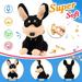 Crying BeeDog Yelp Dog Stung by Bee Singing Headbanging Puppy Toys for Kids Repeat What You Say Dancing Circle Interactive Animated Toy Gift for Toddlers Funny Gift for Kids