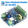Module de lecture vocale MP3 DC 12V diffusion vocale alarme déclencheur multimode