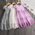 Robe de princesse en dentelle pour filles robes brodées de fleurs robe tutu élégante pour enfants