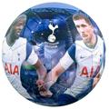 Tottenham Hotspur FC Player Photograph Soccer Ball