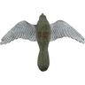 Falco Spaventoso Uccelli e roditori di 52 cm di Apertura alare Ideale Contro i fastidiosi piccioni,