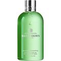 Molton Brown Collection Infusing Eucalyptus Bath & Shower Gel