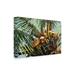 Bay Isle Home™ Suzanne Wilkins 'Los Cocos' Outdoor Canvas Wood in White | 30 H x 47 W x 1.5 D in | Wayfair 7502F54B89FE45BCAEF1214DFE423195
