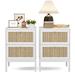 Bay Isle Home™ Manel Rattan Nightstand Set Of 2, End Side Table w/ 2 Handmade Natural Rattan Drawers, Accent Bedside Table w/ Storage For Bedroom | Wayfair