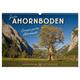 Großer Ahornboden - Europas Großer Ahornwald (Wandkalender 2024 Din A3 Quer), Calvendo Monatskalender