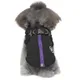 Petit hiver Manteaux De Chien Petit Chien Gilet Harnais Avec Laisse Chiot Hiver Froid Manteau Pour