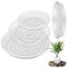 30 Pack Clear Plastic Plant Saucer Drip Trays Small Plant Plate Dish for Indoor Flower Pots and Planters Garden 6 Inch 8 Inch and 10 Inch