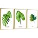 Bayou Breeze Plants Framed Wall Art - 3 Piece Picture Frame Print Set On Canvas_QS38-2 Canvas in Green/White | 16.3 H x 36.3 W x 1.65 D in | Wayfair
