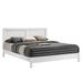 Red Barrel Studio® Xiadani Panel Bed Wood & Metal/Metal in Brown | 41.75 H x 62.75 W x 83 D in | Wayfair 943F18B7678F42869541141BE235E420