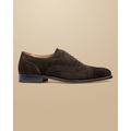 Men's Suede Oxford Brogue Shoes - Dark Chocolate Brown, 9.5 R by Charles Tyrwhitt