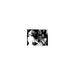 Joanne ward & Paul Newman on a Film Set - Unframed Photograph Paper in Black/White Globe Photos Entertainment & Media | 8 H x 10 W x 1 D in | Wayfair