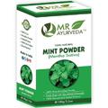 Mr Ayurveda 100 Organic Mint Powder Natural Pudina Powder Mint Powder For Face Mint Powder For Hair Pudina Powder For Skin No Added Chemicals 100 Grams Set Of 1