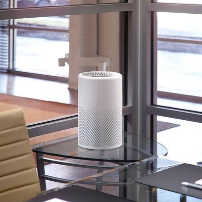 SANI-T Breeze Air Purifier PRO