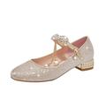 NIUREDLTD Girls Dance Shoes Gold Silver Princess Shoes Closed Toe Low Heel Fine Glitter Shoes Wedding Party Size 31