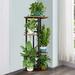 17 Stories Averyonna Plant Stand Metal in Black | 29.05 H x 14.17 W x 9.05 D in | Wayfair E6E7E378DF6046FCBC1DDD57EFA72285