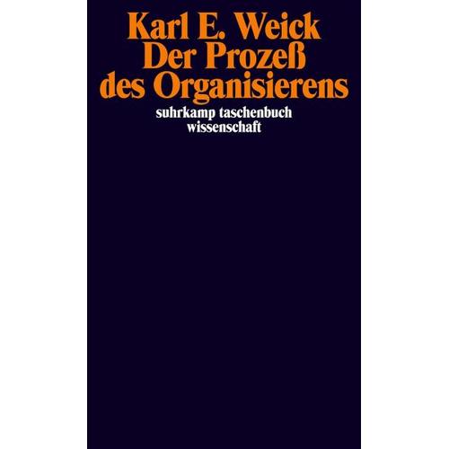Der Prozeß des Organisierens - Karl E. Weick
