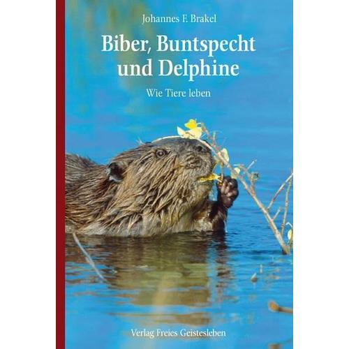 Biber, Buntspecht und Delphine – Johannes F. Brakel