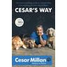 Cesar's Way - Cesar Millan