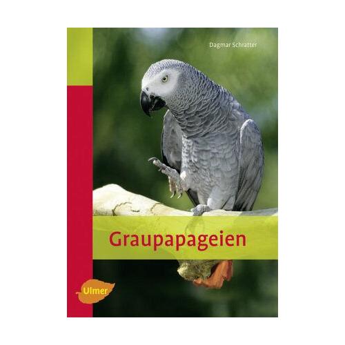 Graupapageien - Dagmar Schratter
