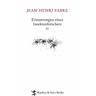 Erinnerungen eines Insektenforschers / Erinnerungen eines Insektenforschers Bd.4 - Jean-Henri Fabre