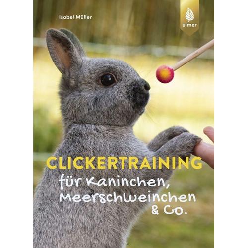 Clickertraining für Kaninchen, Meerschweinchen & Co. - Isabel Müller