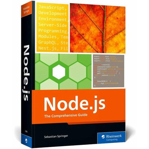 Node.js – Sebastian Springer