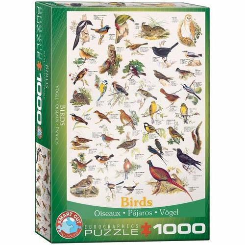 Eurographics 6000-1259 - Vögel, Puzzle, 1.000 Teile - Eurographics