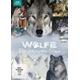 Wölfe - Die schönsten Filme DVD-Box (DVD) - Koch Media Home Entertainment