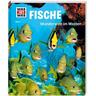 Fische / Was ist was Bd.41 - Nicolai Schirawski