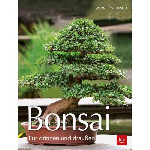Bonsai – Werner M. Busch