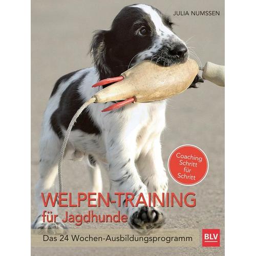 Welpen-Training für Jagdhunde - Julia Numßen