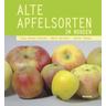 Alte Apfelsorten im Norden - Klaus-Jürgen Paulsen, Malte Reichert, Walter Denker