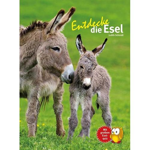 Entdecke die Esel – Judith Schmidt