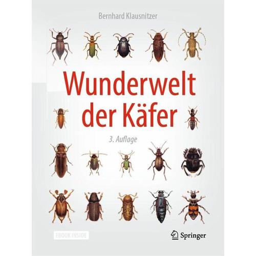 Wunderwelt der Käfer – Bernhard Klausnitzer