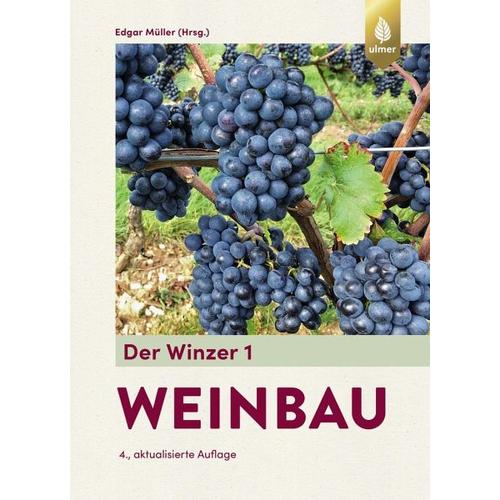 Der Winzer 1