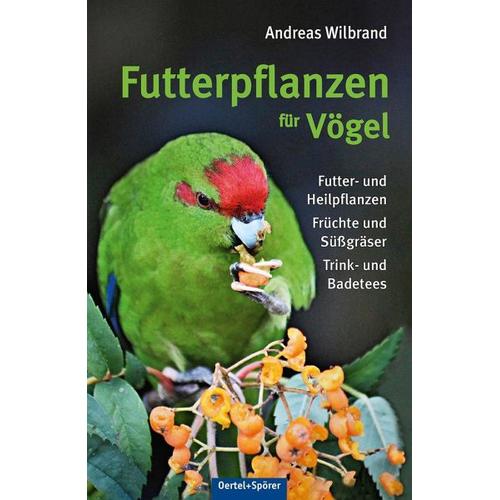 Futterpflanzen für Vögel - Andreas Wilbrand