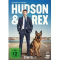 Hudson und Rex-Die komplette 1.Staffel (4 DVDs) (DVD) - Fernsehjuwelen