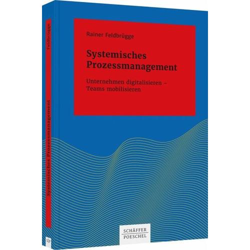 Systemisches Prozessmanagement – Rainer Feldbrügge