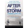 After the Storm - Damian Lawlor