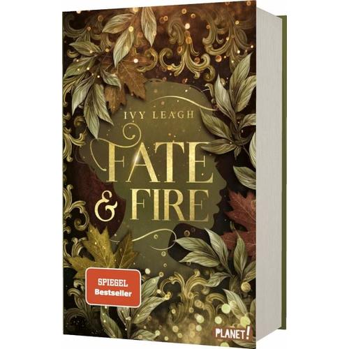 Fate and Fire / Die Nordlicht-Saga Bd.1 - Ivy Leagh