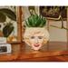 Primrue The Golden Girls Rose 3-inch Ceramic Mini Planter w/ Artificial Succulent | Wayfair 1C2B717067FB4DEE926CA485D0AFD02D