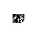 Kirk Douglas & Kim Novak Sitting Face to Face - Unframed Photograph Paper in Black/White Globe Photos Entertainment & Media | Wayfair 4823577_108
