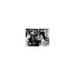 Elizabeth Taylor Talking w/ Mickey Rooney - Unframed Photograph Paper in Black/Gray/White Globe Photos Entertainment & Media | Wayfair 4821668_108