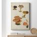 August Grove® Mushroom Species V - Wrapped Canvas Print Canvas, Solid Wood in White | 36 H x 24 W x 1 D in | Wayfair